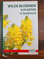 Wilde bloemen & planten, Ophalen of Verzenden, Nieuw, Bloemen, Planten en Bomen