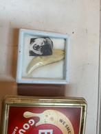 Wolf tand in doosje, Ophalen of Verzenden