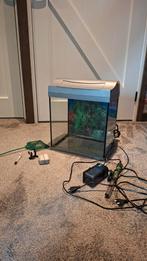 Vissen Aquarium, Dieren en Toebehoren, Vissen | Aquaria en Toebehoren, Ophalen of Verzenden