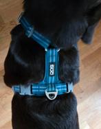 Dog Kopenhagen hondentuigje - maat medium, Ophalen of Verzenden, Zo goed als nieuw