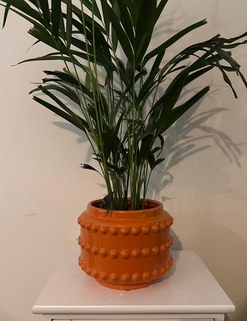 Plantenpot oranje beschikbaar voor biedingen