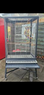 Montana Cages colorado 2 vogelkooi, Ophalen, Metaal, Vogelkooi