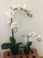 Orchidee kunstplant 30 cm Of 60 cm, Binnen, Ophalen of Verzenden, Zo goed als nieuw