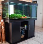 Juwel Rio 300 aquarium, Dieren en Toebehoren, Vissen | Aquaria en Toebehoren, Ophalen, Zo goed als nieuw, Leeg aquarium