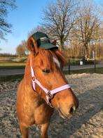 Stalhulp aangeboden, Ophalen of Verzenden, Nieuw