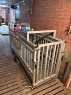 Zeugen weegschaal [797]