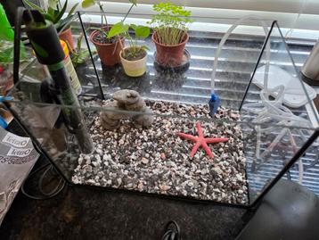 Aquarium 30x20x20 + pomp verwarming tetra ht-25 & aps 50-400 beschikbaar voor biedingen