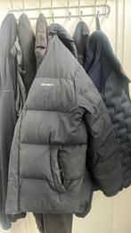 Carhartt puffer jas, Kleding | Heren, Maat 52/54 (L), Zwart, Carhartt, Ophalen of Verzenden