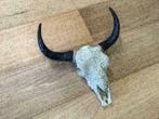 Skulls wit gegraveerd , spanwijdte 40cm ZEER GOEDKOOP, Nieuw, Ophalen