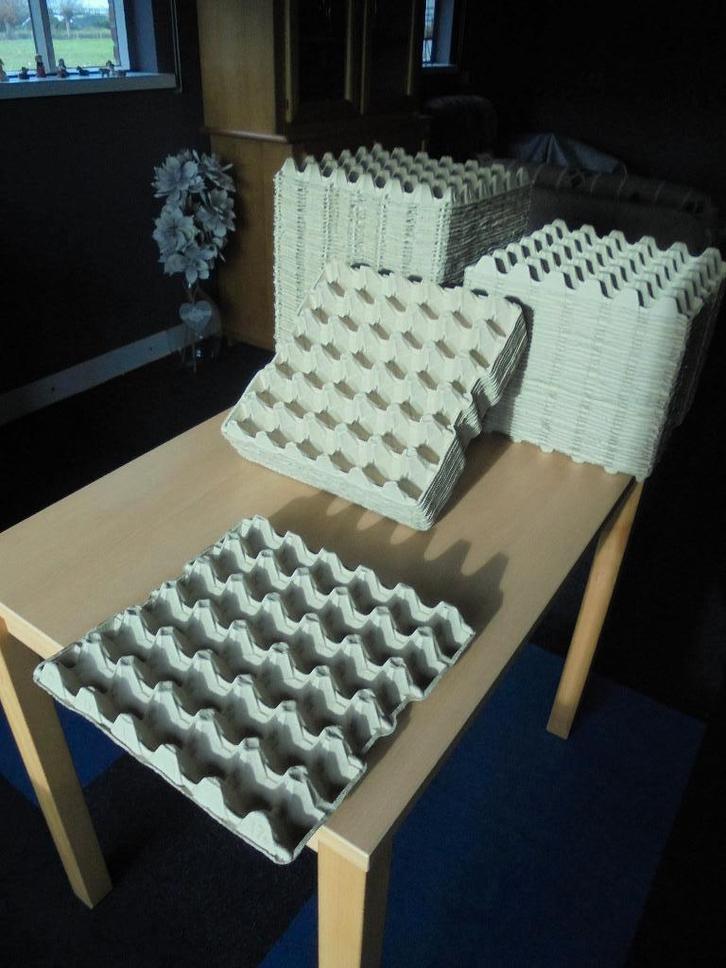 550 nette eiertrays voor 30 eieren., Dieren en Toebehoren, Pluimvee | Toebehoren, Zo goed als nieuw, Overige typen, Ophalen of Verzenden