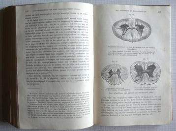 G.H. Lewes 1870 Ons Leven I en II (vertaling H. van Capelle, beschikbaar voor biedingen