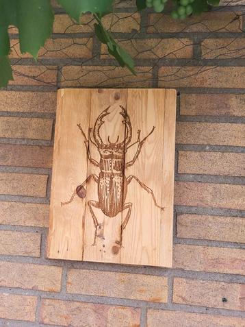 Houten Bord met Kever - 35x25 cm beschikbaar voor biedingen