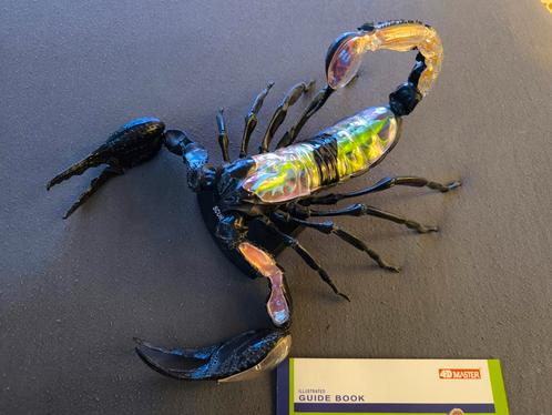 4D Vision Schorpioen Anatomie, Verzamelen, Dierenverzamelingen, Zo goed als nieuw, Beeldje of Figuurtje, Overige soorten, Verzenden