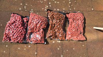 BFP boillies, pink punch en fish tutti, 10 kg beschikbaar voor biedingen
