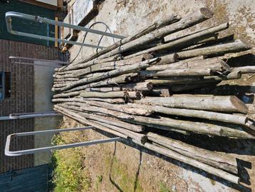 Gratis ophalen: Haardhout palen.5 meter beschikbaar voor biedingen