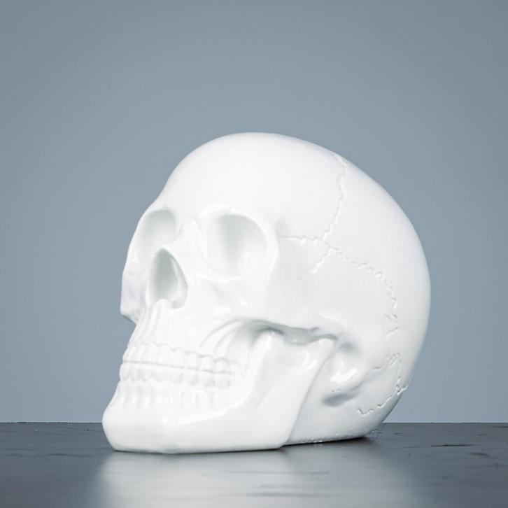 Fraaie schedel, Antiek en Kunst, Kunst | Designobjecten, Ophalen of Verzenden