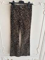 Nieuw tijgerprint flair broek merk WE maat 164, Kinderen en Baby's, Kinderkleding | Maat 164, Ophalen of Verzenden, Nieuw, Meisje