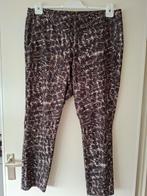 Dreamstar travel print broek xxl 44/46., Kleding | Dames, Broeken en Pantalons, Ophalen of Verzenden, Zo goed als nieuw, Maat 46/48 (XL) of groter