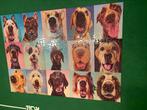 Legpuzzel dog nose, Ophalen of Verzenden, 500 t/m 1500 stukjes, Gebruikt, Legpuzzel