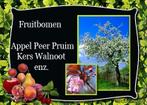 fruitbomen, Ophalen, 100 tot 250 cm, Appelboom, Lente