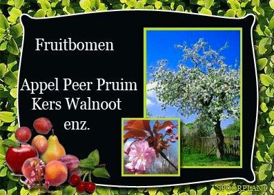 fruitbomen, Tuin en Terras, Planten | Fruitbomen, Appelboom, 100 tot 250 cm, Lente, Ophalen