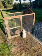 Ren tbv konijnen of kipppen, Ophalen, 110 cm of meer, Ren, Konijn