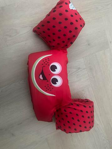 Puddle jumper beschikbaar voor biedingen