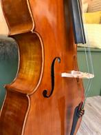 7/8 Rudolph cello, ietsje kleinere cello om mee te starten!, Muziek en Instrumenten, Ophalen, Gebruikt, 7/8-cello