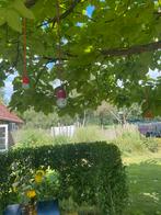 Solar hanglampje omhaakt in diverse kleuren, Ophalen, Nieuw, Zonne-energie, Minder dan 50 watt