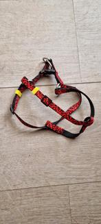 Hondentuig maat s, Ophalen of Verzenden, Nieuw