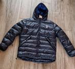 Tottenham Hotspur winterjas maat L, Ophalen of Verzenden, Nieuw, Maat 52/54 (L), Blauw