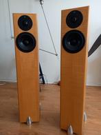 Totem Hawk, in prachtige staat!, Audio, Tv en Foto, Luidsprekers, Zo goed als nieuw, 120 watt of meer, Front, Rear of Stereo speakers