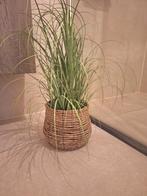 Nieuwe plantenpot,plantenmand,mand zonder kunstplant, Overige materialen, Rond, Nieuw, Ophalen of Verzenden