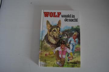 Wolf waakt in de nacht | Jan Postma beschikbaar voor biedingen