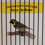 Cubavink man, Dieren en Toebehoren, Mannelijk, Tropenvogel