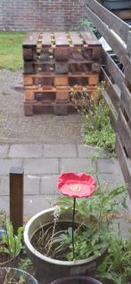 5 stuks euro pallets, Ophalen, Zo goed als nieuw, Hout