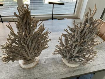 2 decoratieve boompjes beschikbaar voor biedingen