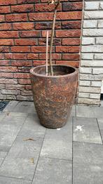 Stenen pot, Ophalen, Steen, Minder dan 60 cm, Rond
