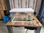 Aquarium tafel model, Ophalen, Leeg aquarium