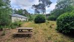 Ruime 4 persoons bungalow op park 't Wildryck Diever Drenthe, In bos, 2 slaapkamers, Recreatiepark, 4 personen