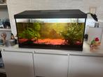 Superfish 60L aquarium met filterpomp, Dieren en Toebehoren, Ophalen, Gebruikt, Leeg aquarium