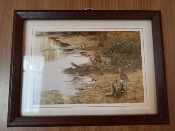 Ingelijste ansichtkaart incl. fotolijst beschikbaar voor biedingen