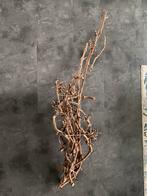 Gedroogde Druiventakken - Decoratie, Ophalen of Verzenden, Gebruikt