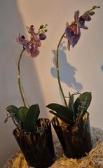 Orchideeën., Huis en Inrichting, Ophalen, Zo goed als nieuw