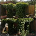 Tuinman beschikbaar, Ophalen