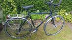 Koga Randonneur 54 cm, Fietsen en Brommers, Fietsen | Heren | Sportfietsen en Toerfietsen, Ophalen, 28 inch, Gebruikt, Koga Miyata