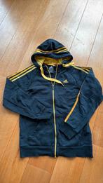 Adidas vest hoody vintage kleuren, Zwart, Ophalen of Verzenden, Adidas, Gedragen