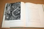 Vogels vóór de Camera - Marcel Verbruggen 1958, Ophalen of Verzenden, Gelezen, Vogels
