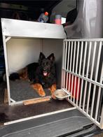 Honden Kooi/Bench, Ophalen, Gebruikt