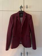 Te koop: Equiline wedstrijdjasje bordeaux, maat 38, Ophalen of Verzenden, Zo goed als nieuw, Maat 38/40 (M), Blauw